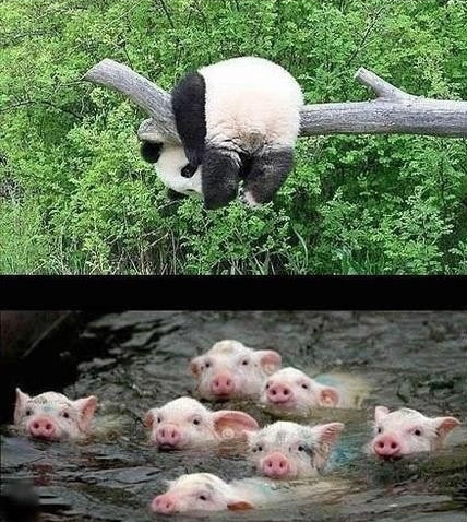 PVC管|水管|排水管|下水管|满顺供