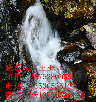 贵州山泉水质检测微生物