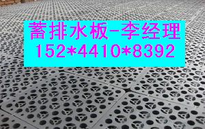 现货供应-韶关地下室专用排水板规格-无纺布批发