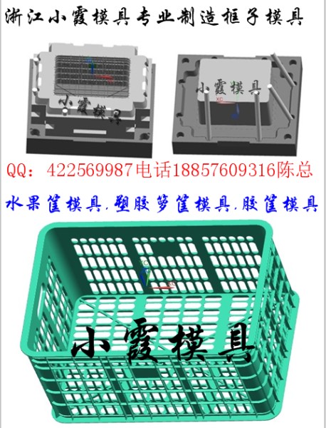 专业生产奇异果箱模具制造