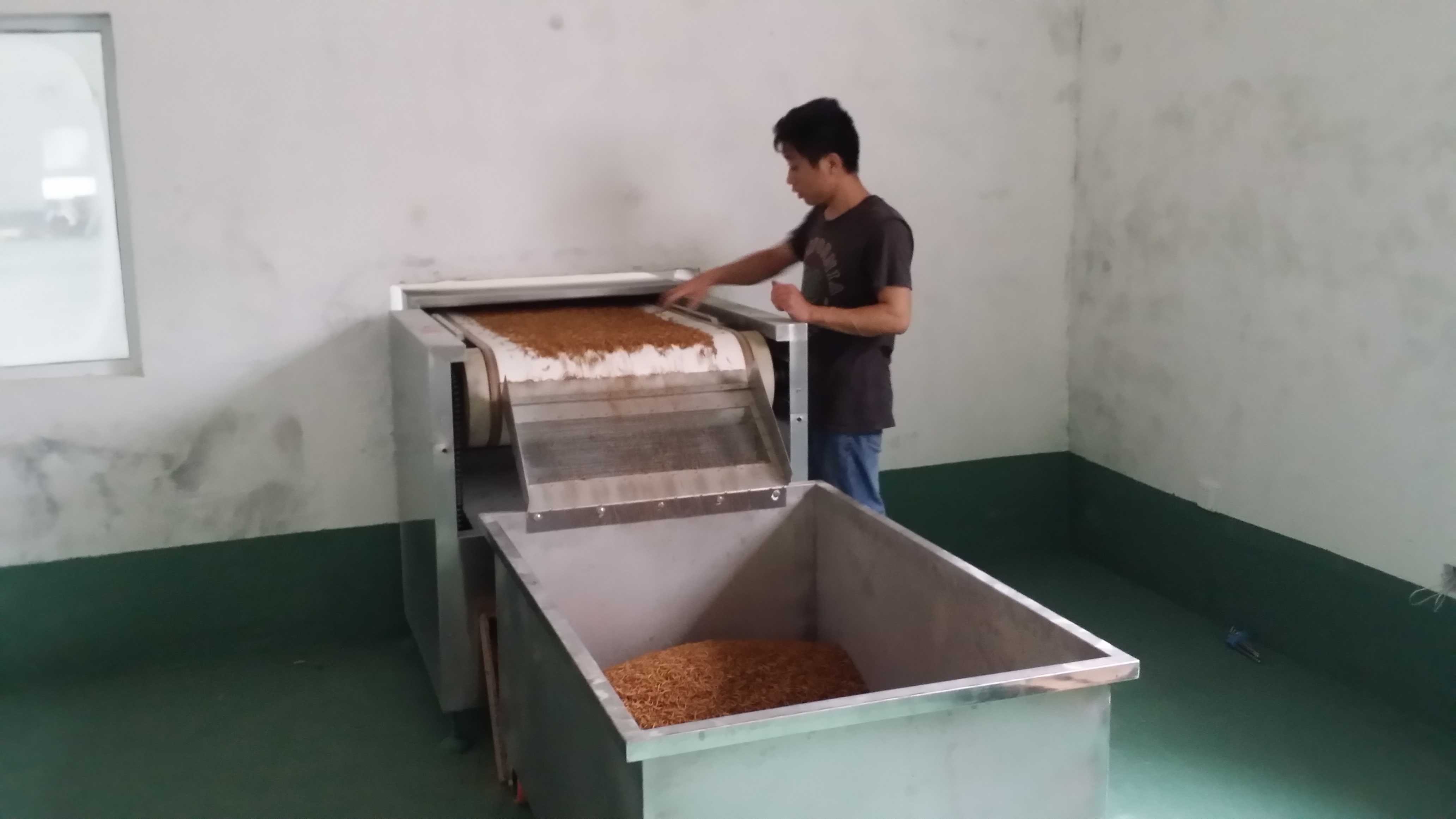 黄粉虫微波干燥杀菌设备