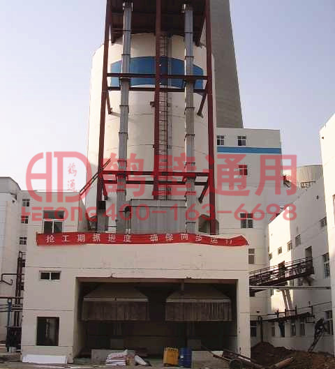 鹤壁通用TB板链斗式提升机