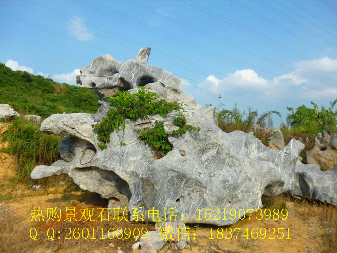 青岛美丽的黄蜡石景石台面石鹅卵石等多种园林石材