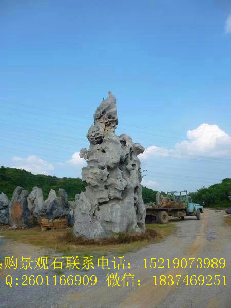 超级品牌景石就选奇石轩