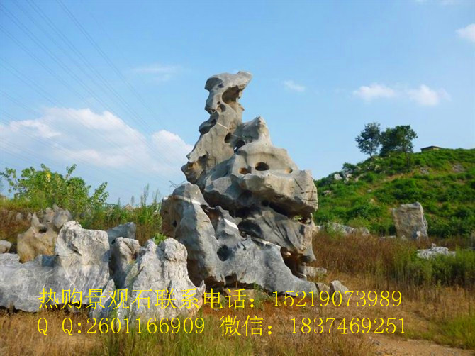 厂家供应大型 景石