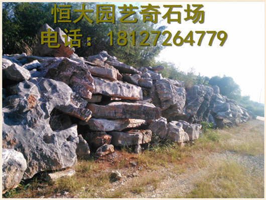 选石就选奇石轩景石