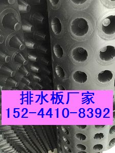 天津2公分%3公分车库排水板发货厂家（保质保量