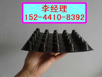 渭南屋面排水板作用=屋顶蓄排水板价格（现货供应