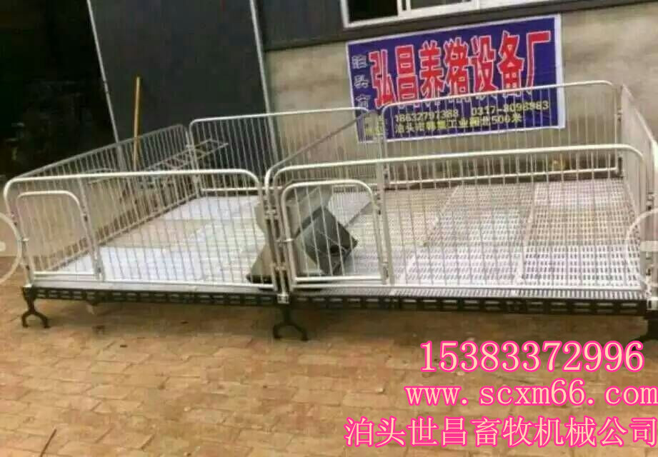 养猪必备小猪双体保育床生产厂家地址