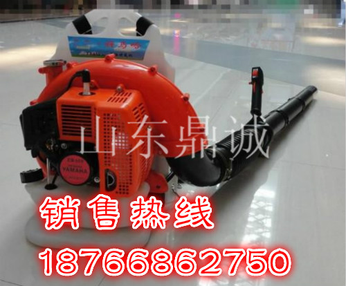 陕西西安背负式风力灭火机EB650二冲程汽油多功能吹风机 市政环卫机械