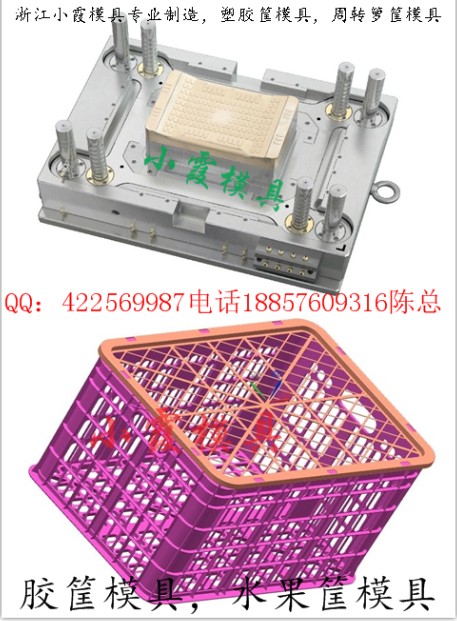 台州啤酒箱模具制造，提供火龙果蓝子模具生产