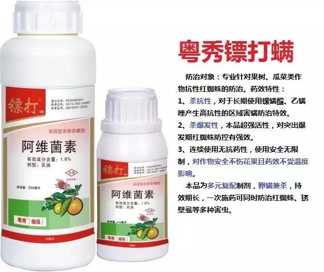 柑橘红蜘蛛怎么办 柑橘红蜘蛛用什么药 柑橘红蜘蛛防治药