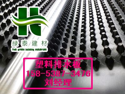 滁州20高蓄排水板=成卷排水板型号