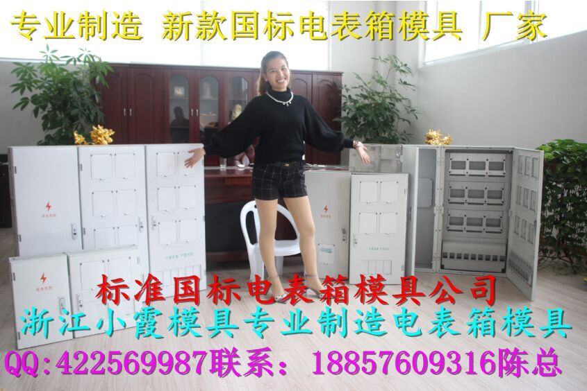 中国专做塑胶模具 塑料6表电表箱模具，注塑6表电表箱模具公司