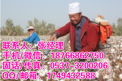 江苏无锡代替人工风吸式汽油采棉机 家用拾花吸棉机 便携式摘棉花机