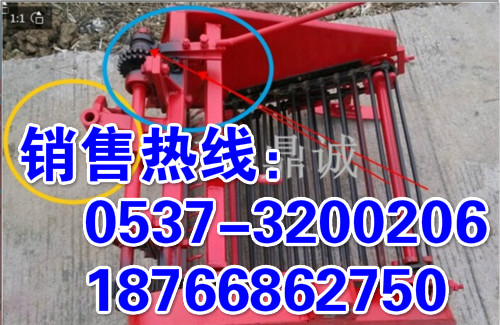 辽宁丹东拖挂式马铃薯收获机 刨土豆机 洋芋头地蛋收获机 手扶拖拉机配套工作