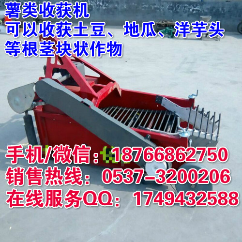 河北秦皇岛汽油拖拉机牵引后挂式土豆地瓜芋头收获机 根茎块状农作物丰收机械