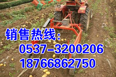 江苏宿迁农产品收获机 机械式土豆地瓜洋芋头收获机 田园管理机带动薯类丰收设备