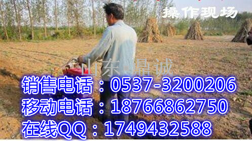河南新乡汽油动力果园开沟机 多功能田园管理机 油耗低 农业机械