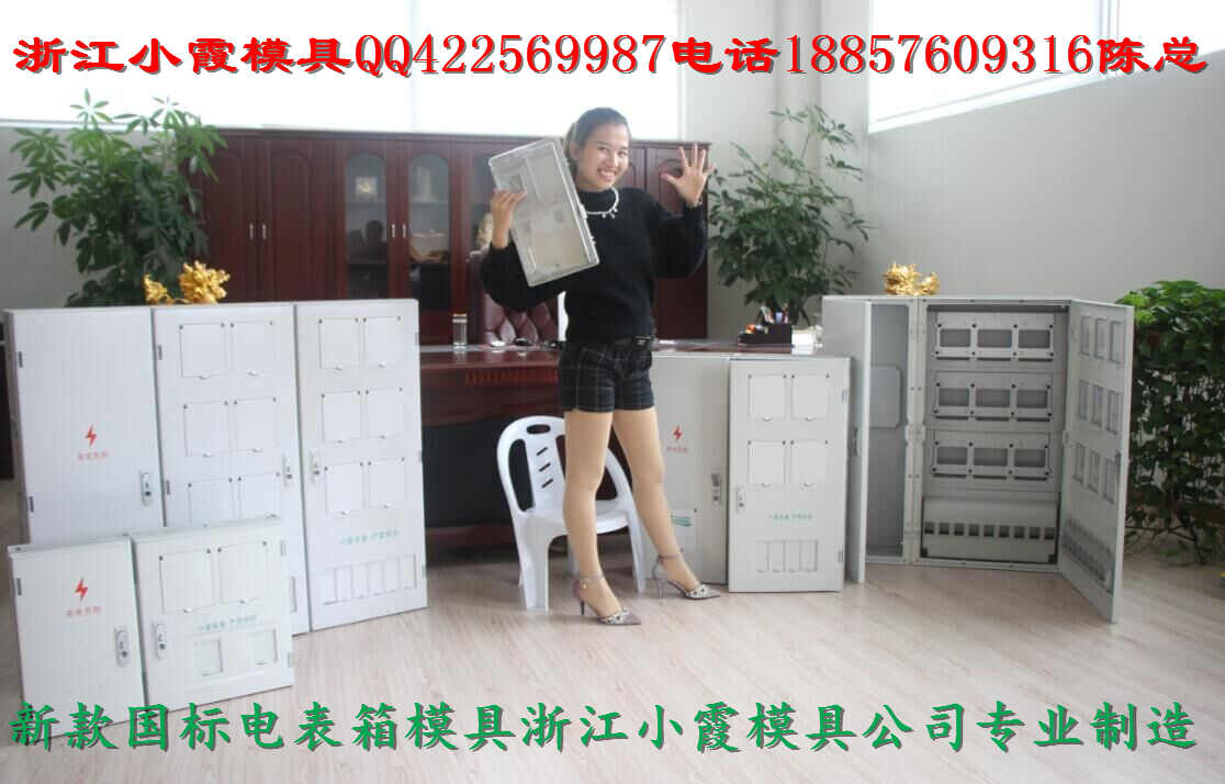 专业7表塑胶电表箱模具，13表电表箱塑料模具，配电箱注塑模具制造