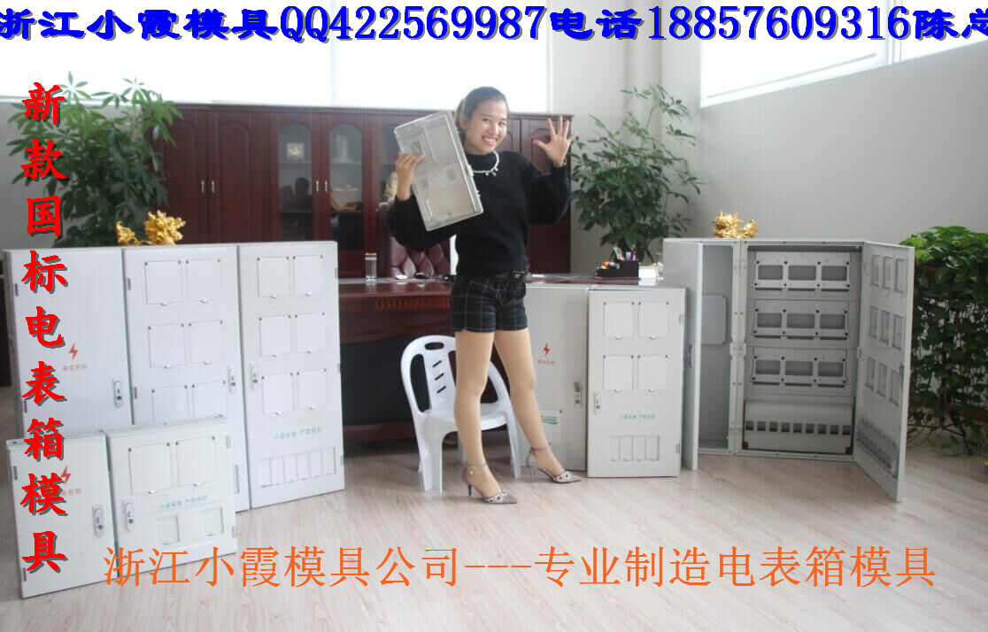  透明PC电表箱模具，透明ABS电表箱模具，注塑透明表盖模具生产