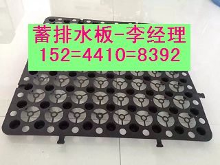 广州绿化阻根刺排水板+3公分蓄排水板价格-现货