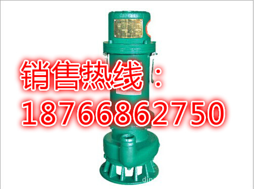福建厦门BQS(BQW)4KW矿用隔爆型排污排沙潜水电泵 双流道叶轮矿井泵