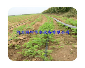山西滴水软带 大田滴灌工程设计安装厂家