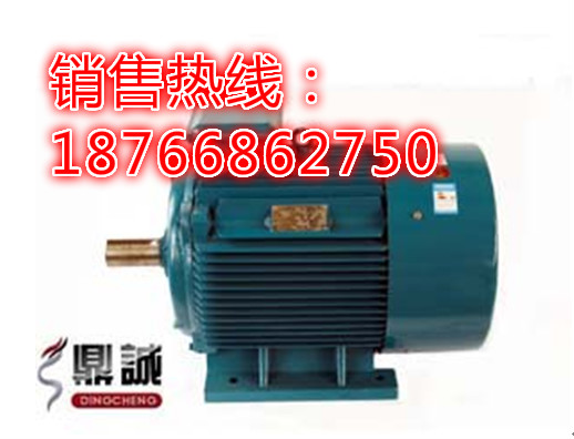 安徽亳州全封闭自扇冷式鼠笼型Y100L2-4型三相异步电动机机械设备用电动机