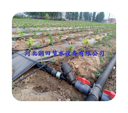 河南滴水带价格 百亩地大田滴灌设备