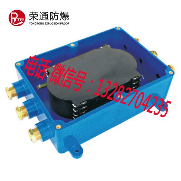 浙江荣通2进2出 3进3出矿用光纤分线盒 FHG4阻燃塑料接线盒