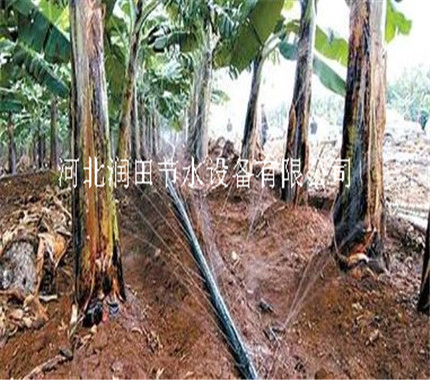 湖南节水省钱耐用水龙带 PE微喷带