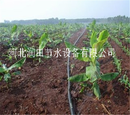 山西整套喷水带PE主管安装厂家