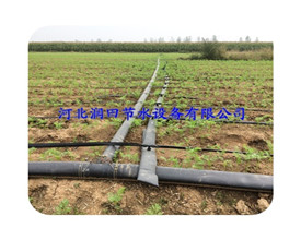 河南大田贴片滴灌带