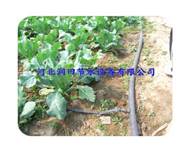 河南抗压抗堵滴灌带
