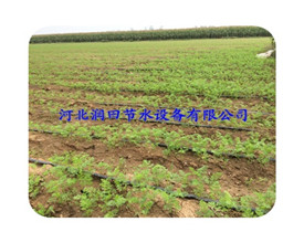 河南贴片式滴灌带节水节能  绿色环保