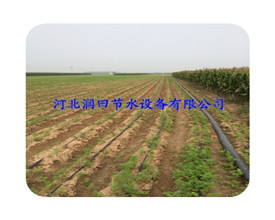 河南水肥一体化贴片滴灌带