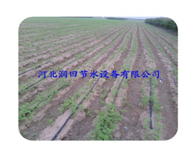 河南单翼迷宫滴灌带、内镶贴片式滴灌带