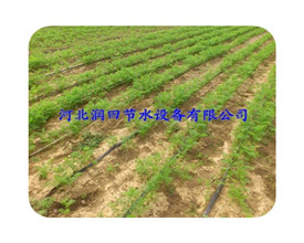 山西土豆大田膜下滴灌聚乙烯软带