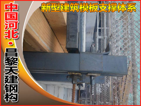 天建-钢木组合模板加固多规格，满足您的要求