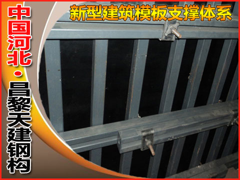 TJ厂家生产钢木模板加固支撑，速速订购