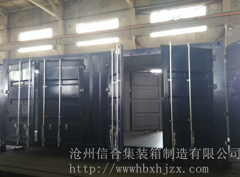 6门全新特种集装箱制造 可多门、多要求定制认准沧州信合