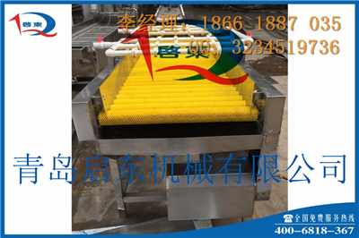 启东【蔬菜清洗机】 价格优质量好
