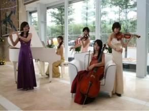 萨克斯演奏 商业演出,大提琴演奏  商业演出,商业演出演艺人员,上海禄佳