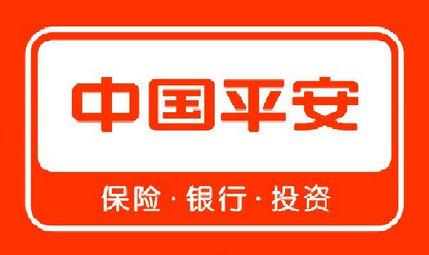 安康平安普惠育才路分公司法人贷