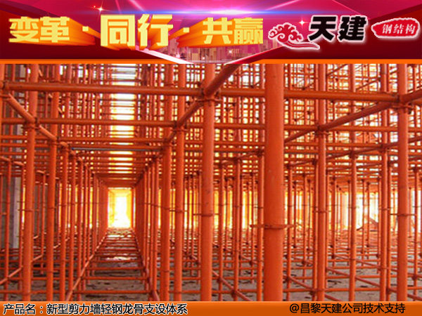 冷轧钢剪力墙洞口模板-模板整体结构完整