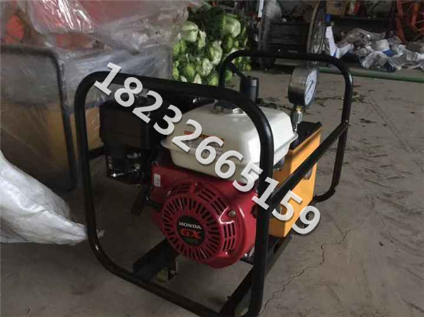 双回路导线液压钳配汽油泵分体式压接钳125吨YWJ-200压接机