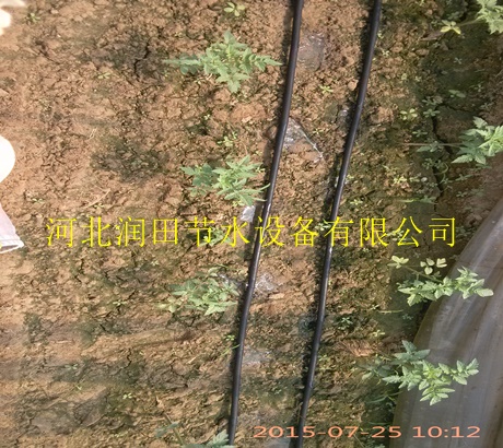 河北聚乙烯软带 大田滴灌带安装厂家