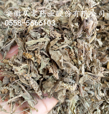 车前草 产地湖南  大货供应