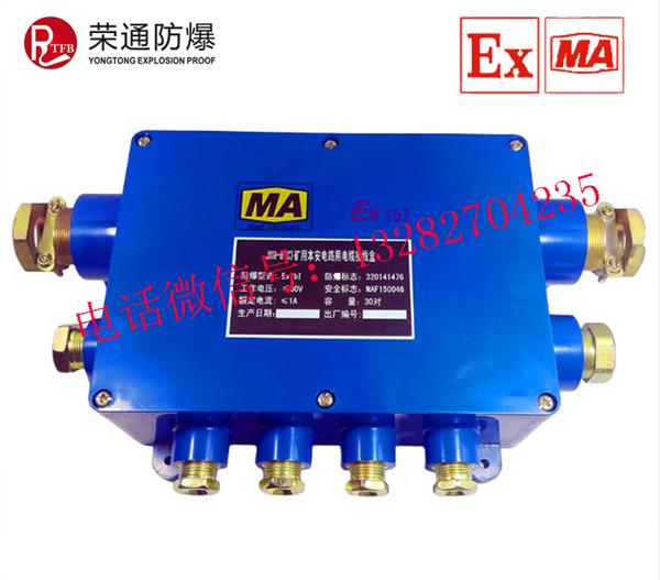 供应荣通 JHH-8矿用本安电路分线盒 30对本安电缆接线盒